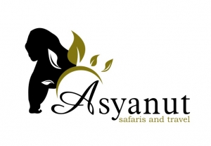 Asyanut Tours & Travel