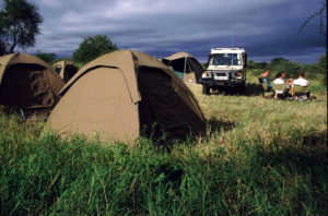 Mobile Camping in Porini