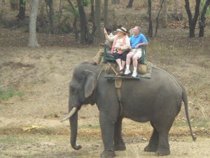 Elephant ride created by VAST partner, Greaves Tours
