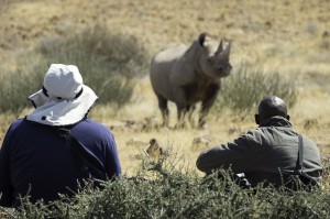 Desert_Rhino_Camp_2014-08-96