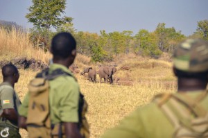 Bumi Hills_Anti Poaching Team_Zimbabwe