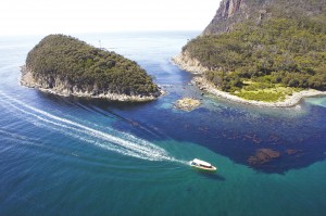 Passing Penguin Island - Bruny Island Cruise  - credit Tourism Tasmania & Joe Shemesh