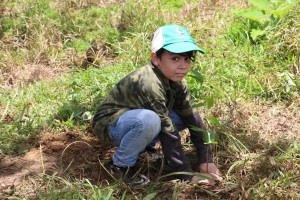 kid planting tree