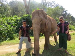 thailand_chiang-mai_elephant-carers