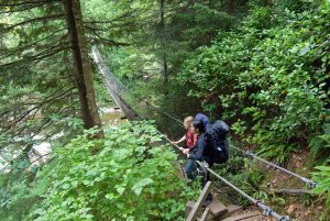 Visitors hiking the temperate rainforest of the West Coast Trail cross suspended bridge.  /  Des visiteurs traversent un pont dans la forêt pluviale tempérée, sur le sentier de la Côte-Ouest.