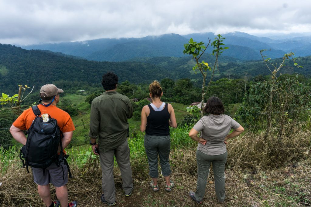 Looking at the future of ATTA forest in Costa Rica.